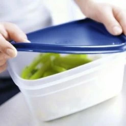 Emsa Frischhaltedosen Set Superline Eckig, 3-teilig 8 Emsa Frischhaltedosen Set Superline Eckig, 3-teilig -Alfi-Shop 3194 RZ 4174 SL DSC 0073 1 10972 neu 1 l