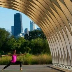 Zing Anything Citrus Zinger Sport, Pink -Alfi-Shop CZ Sport Yoga6 1 l