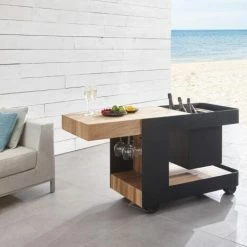 Indu+ Servierwagen IceBoy Mit Kühlbox -Alfi-Shop Iceboy 17 neu