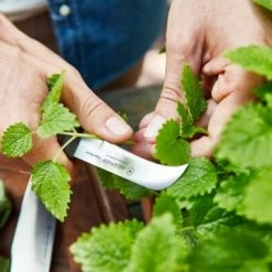 Wüsthof Aufschnittmesser Urban Farmer -Alfi-Shop Wuesthof Urban Farmer 01 3