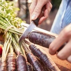 Wüsthof Gemüsemesser Urban Farmer -Alfi-Shop Wuesthof Urban Farmer 02 1 4